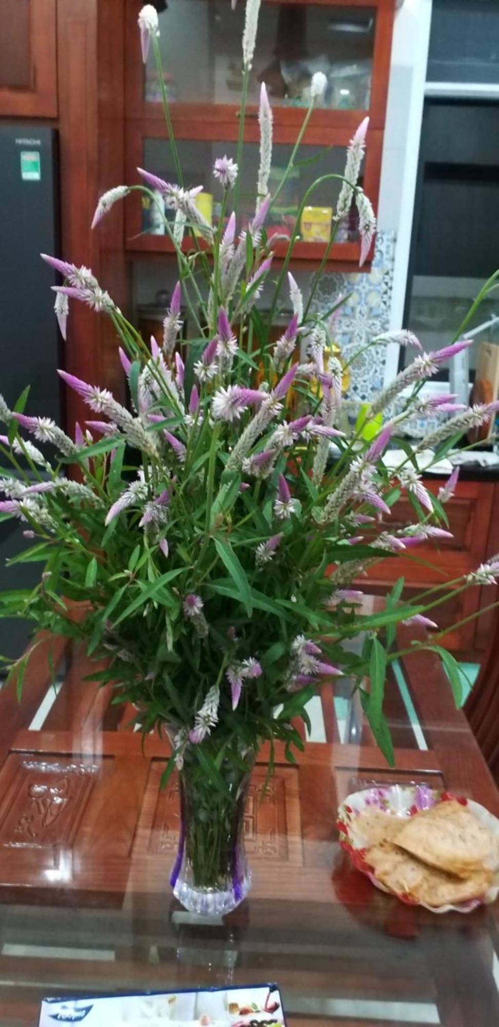 Aparthotel Garden House Con Dao Chi Khu Co Ong Zewnętrze zdjęcie