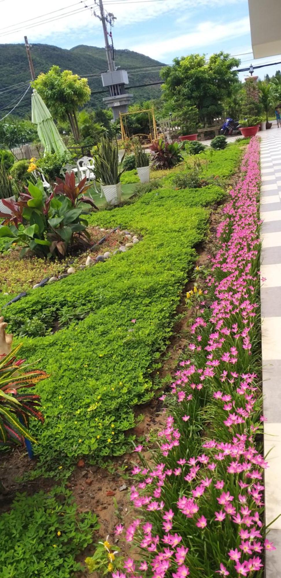 Aparthotel Garden House Con Dao Chi Khu Co Ong Zewnętrze zdjęcie